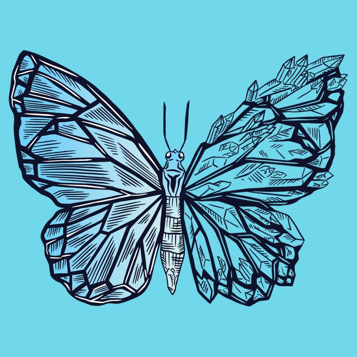 Crystal Butterfly Long Sleeve Shirt