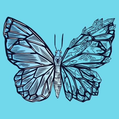 Crystal Butterfly T-Shirt