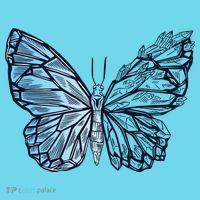 Crystal Butterfly Premium T-Shirt