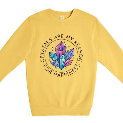 Crystals Are My Reason For Happiness Premium Crewneck Sweatshirt