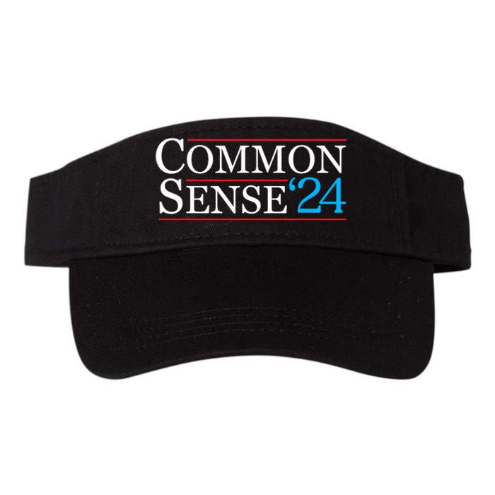 Common Sense 2024 Funny Political Election Sarcastic Valucap Bio-Washed Visor