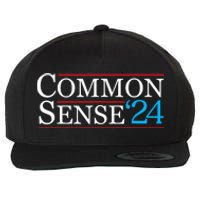 Common Sense 2024 Funny Political Election Sarcastic Wool Snapback Cap