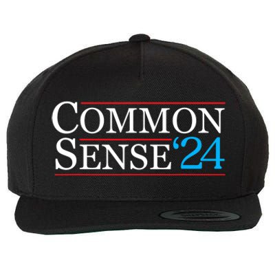 Common Sense 2024 Funny Political Election Sarcastic Wool Snapback Cap