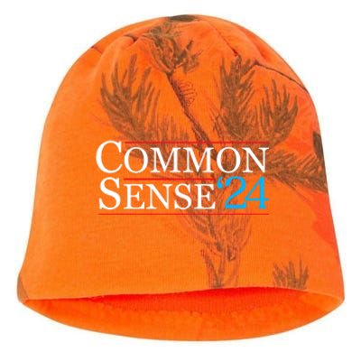 Common Sense 2024 Funny Political Election Sarcastic Kati - Camo Knit Beanie