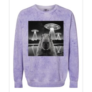 Capybara Selfie Alien Ufo Gifts Rodent Lover Colorblast Crewneck Sweatshirt