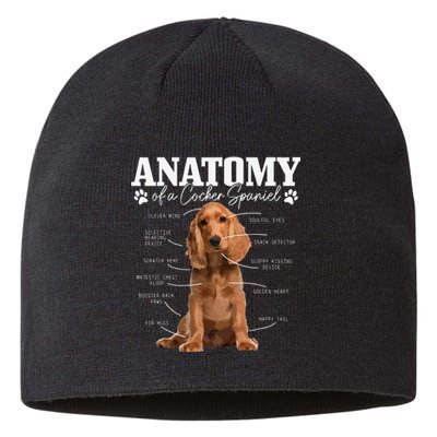 Cocker Spaniel Anatomy Funny Cute Dog Cocker Spaniel Mom Dad Sustainable Beanie