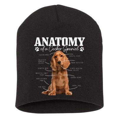 Cocker Spaniel Anatomy Funny Cute Dog Cocker Spaniel Mom Dad Short Acrylic Beanie