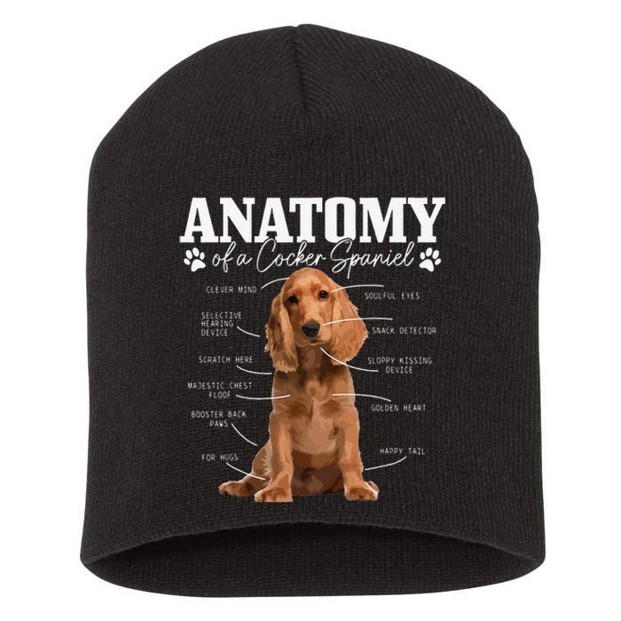 Cocker Spaniel Anatomy Funny Cute Dog Cocker Spaniel Mom Dad Short Acrylic Beanie