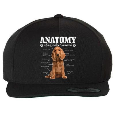 Cocker Spaniel Anatomy Funny Cute Dog Cocker Spaniel Mom Dad Wool Snapback Cap