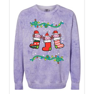 Christmas Stockings Axolotls Cute Xmas Girl Colorblast Crewneck Sweatshirt