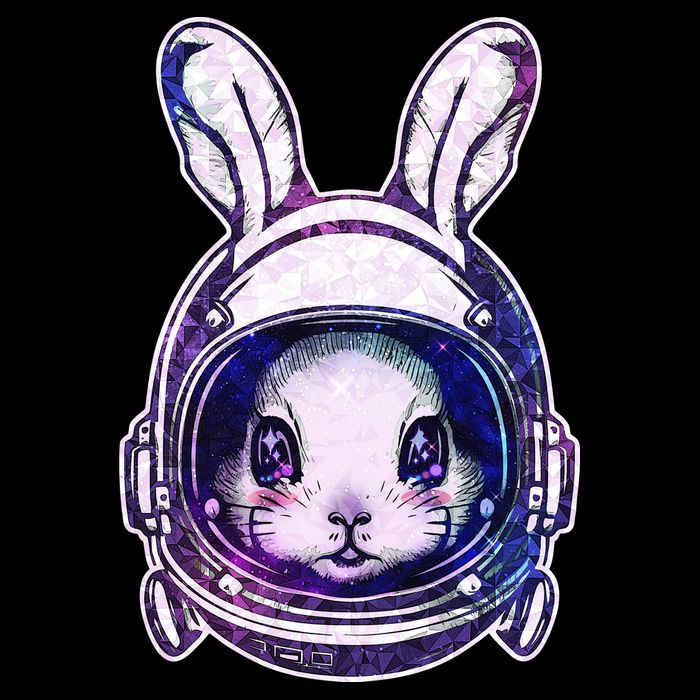 Cute Space Astronaut Bunny Rabbit Visor