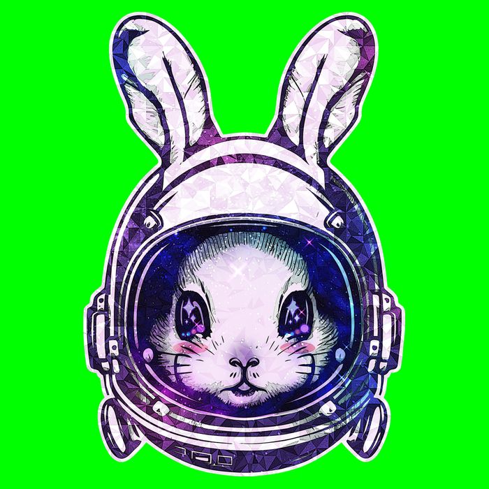 Cute Space Astronaut Bunny Rabbit Button