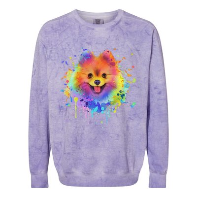 Colorful Splash Art Pomeranian Portrait Pom Puppy Owner Colorblast Crewneck Sweatshirt