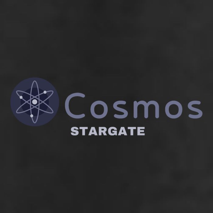 Cosmos Stargate ATOM Cosmos Crypto HODL Cryptocurrency Cosmos Blockchain 25L Jumbo Tote