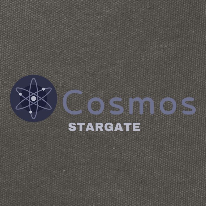 Cosmos Stargate ATOM Cosmos Crypto HODL Cryptocurrency Cosmos Blockchain Cotton Canvas Backpack