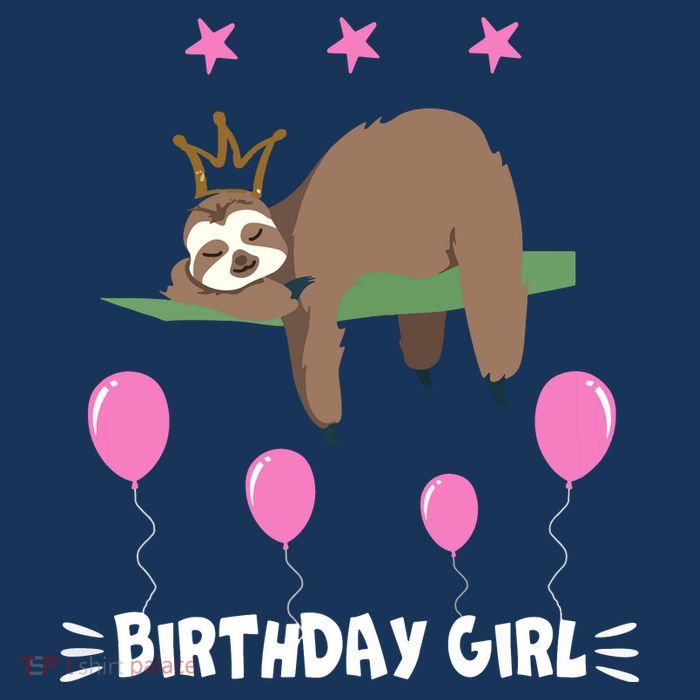Cute Sloth Balloons Birthday Party Animal Premium T-Shirt