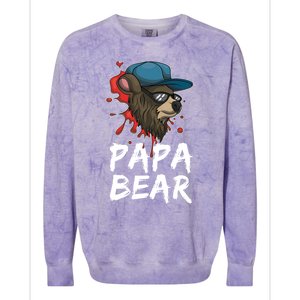 Cool Sunglasses Bear Daddy Animal Family Dad Papa Bear Gift Colorblast Crewneck Sweatshirt