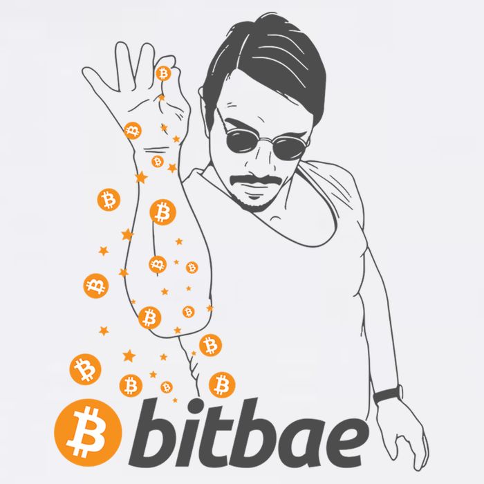 Crypto Salt Bae Bitcoin Poster