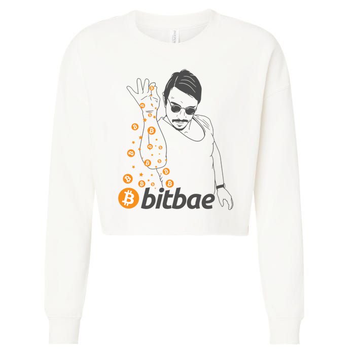 Crypto Salt Bae Bitcoin Cropped Pullover Crew