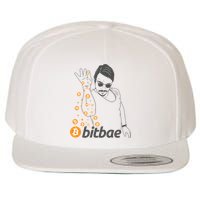 Crypto Salt Bae Bitcoin Wool Snapback Cap