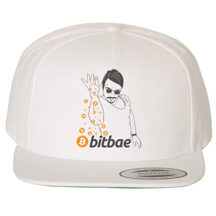 Crypto Salt Bae Bitcoin Wool Snapback Cap