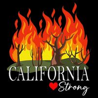 California Strong California Fire Gift 16 in Basic Backpack