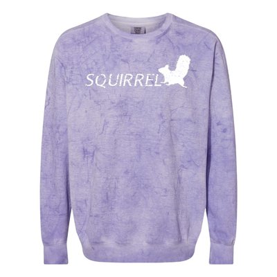 Cute Squirrel Colorblast Crewneck Sweatshirt