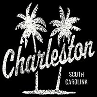 Charleston South Carolina Vintage 70s Palm Trees Toddler Hoodie