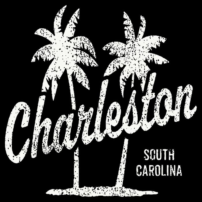 Charleston South Carolina Vintage 70s Palm Trees Toddler Hoodie