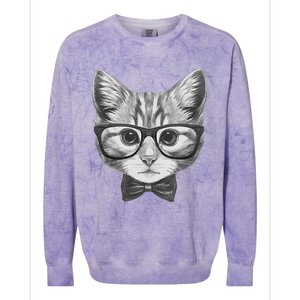 Cute Smart Cat Wearing Glasses Bow Tie Animal Lover Colorblast Crewneck Sweatshirt