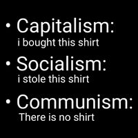Capitalism Socialism Communism Libertarian Economics Freedom Poster