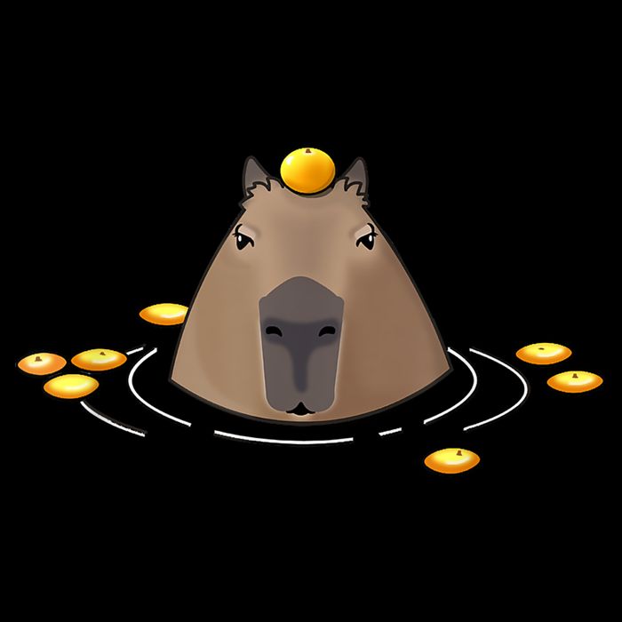 Capybaras Shirt Cute Capybara Zip Tote Bag