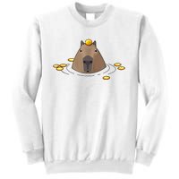 Capybaras Shirt Cute Capybara Sweatshirt