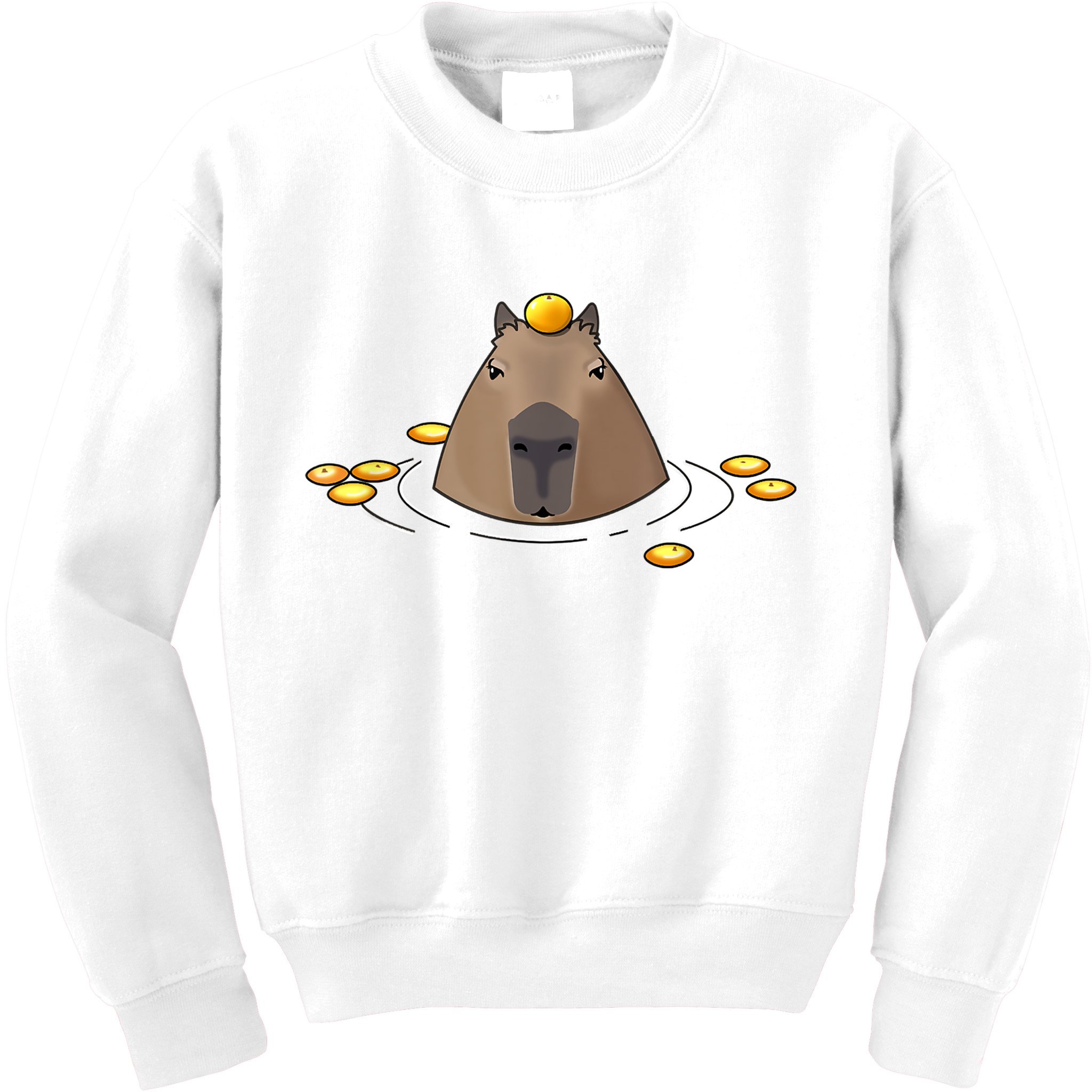 Capybaras Shirt Cute Capybara Kids Sweatshirt
