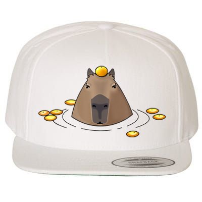 Capybaras Shirt Cute Capybara Wool Snapback Cap