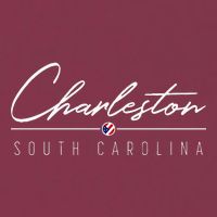 Charleston Sc 16oz Travel Tumbler