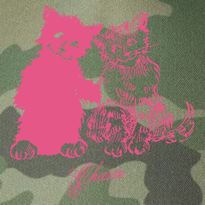 Clairo Store Charm Cat Friends Legacy Tie Dye Trucker Hat