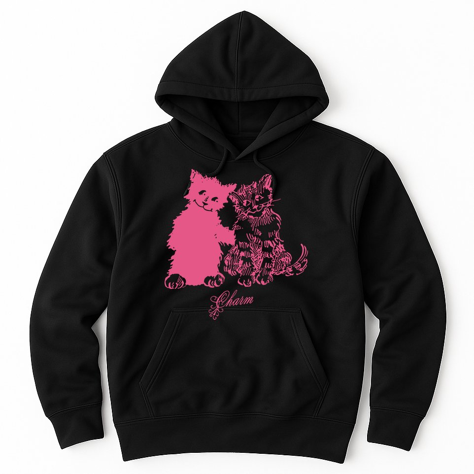 Clairo Store Charm Cat Friends Hoodie