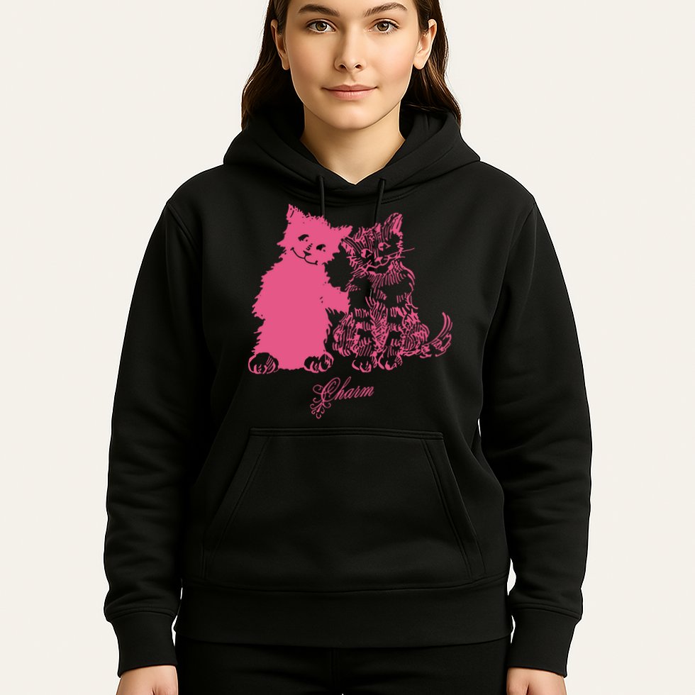 Clairo Store Charm Cat Friends Hoodie