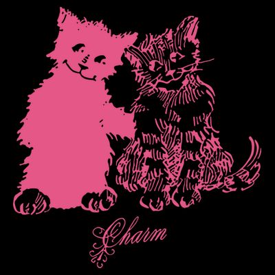 Clairo Store Charm Cat Friends T-Shirt