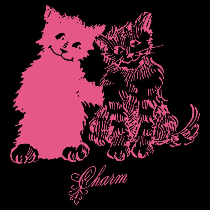 Clairo Store Charm Cat Friends Toddler Sweatshirt