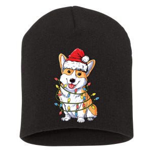 Corgi Santa Christmas Tree Lights Xmas Short Acrylic Beanie