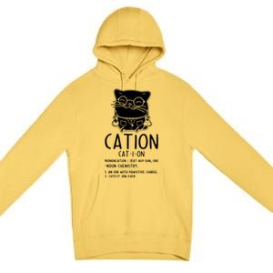 Cat Science Chemistry For Chemist Teacher Gift Premium Pullover Hoodie