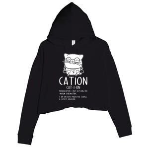 Cat Science Chemistry For Chemist Teacher Gift Crop Fleece Hoodie