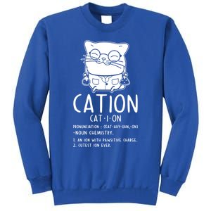 Cat Science Chemistry For Chemist Teacher Gift Sweatshirt