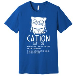 Cat Science Chemistry For Chemist Teacher Gift Premium T-Shirt