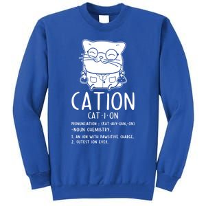 Cat Science Chemistry For Chemist Teacher Gift Tall Sweatshirt