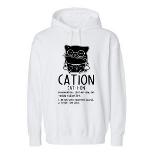 Cat Science Chemistry For Chemist Teacher Gift Garment-Dyed Fleece Hoodie