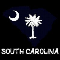 Cool South Carolina State Apron