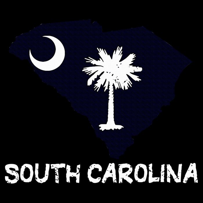 Cool South Carolina State Apron